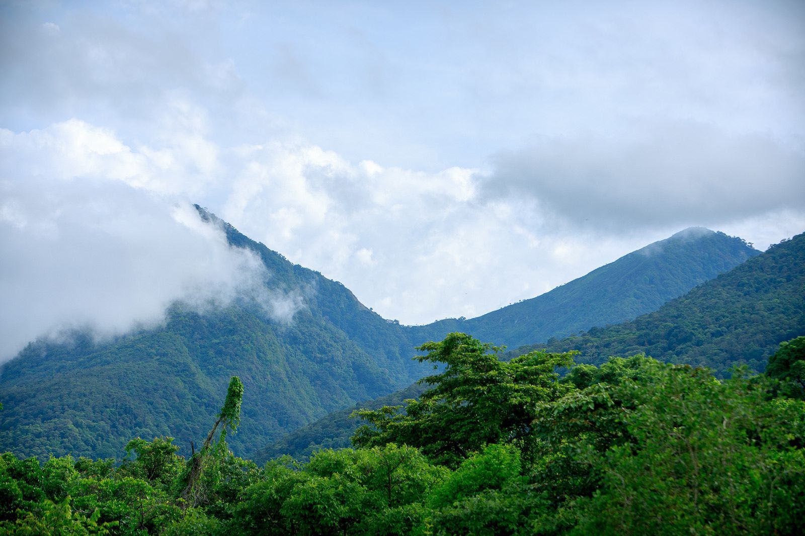 Горы Махале